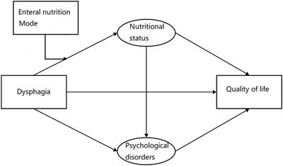 How stroke-related dysphagia relates to quality of life: the mediating role of nutritional status and psychological disorders, and the moderating effect of enteral nutrition mode